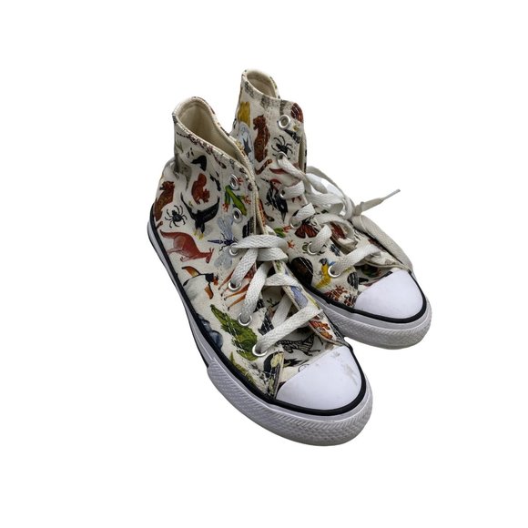 Converse Shoes Converse Kids Size Science Class Chuck Taylor All